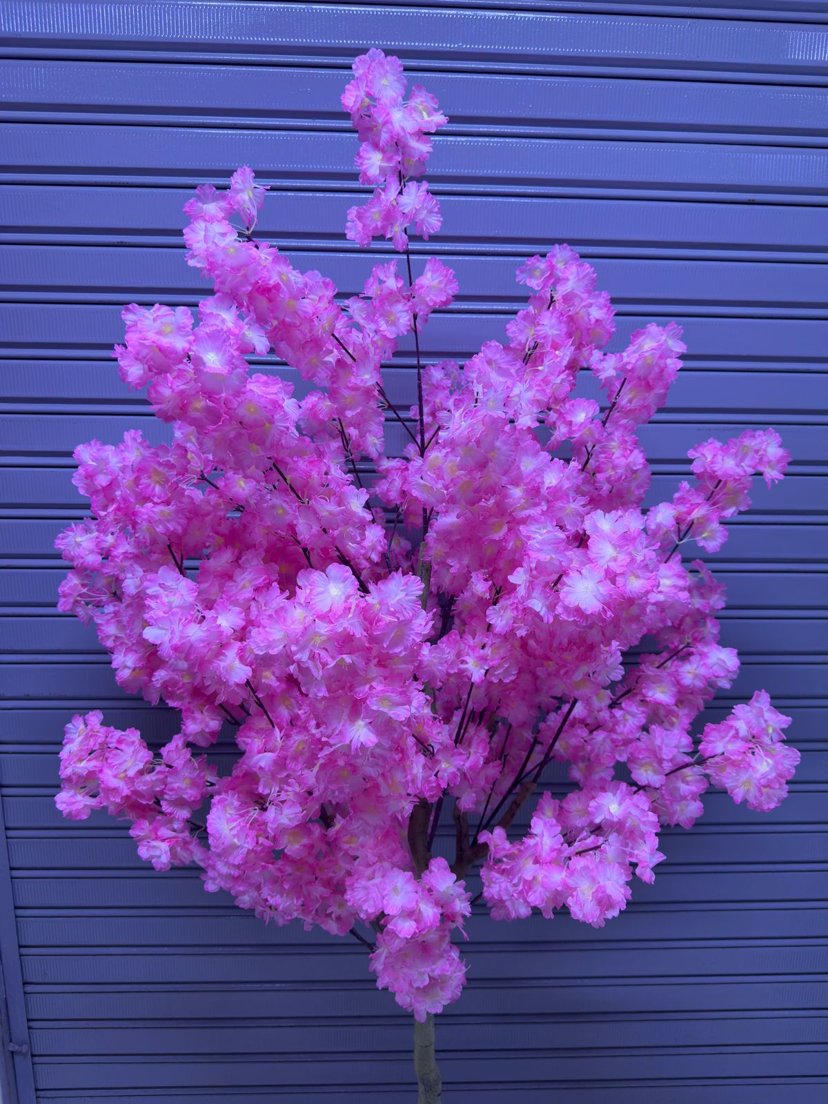 Árbol Sakura | Rosado | 200cm — Plantas Artificiales